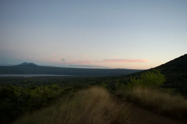 Bushes on a mountain with a sunset in the distance