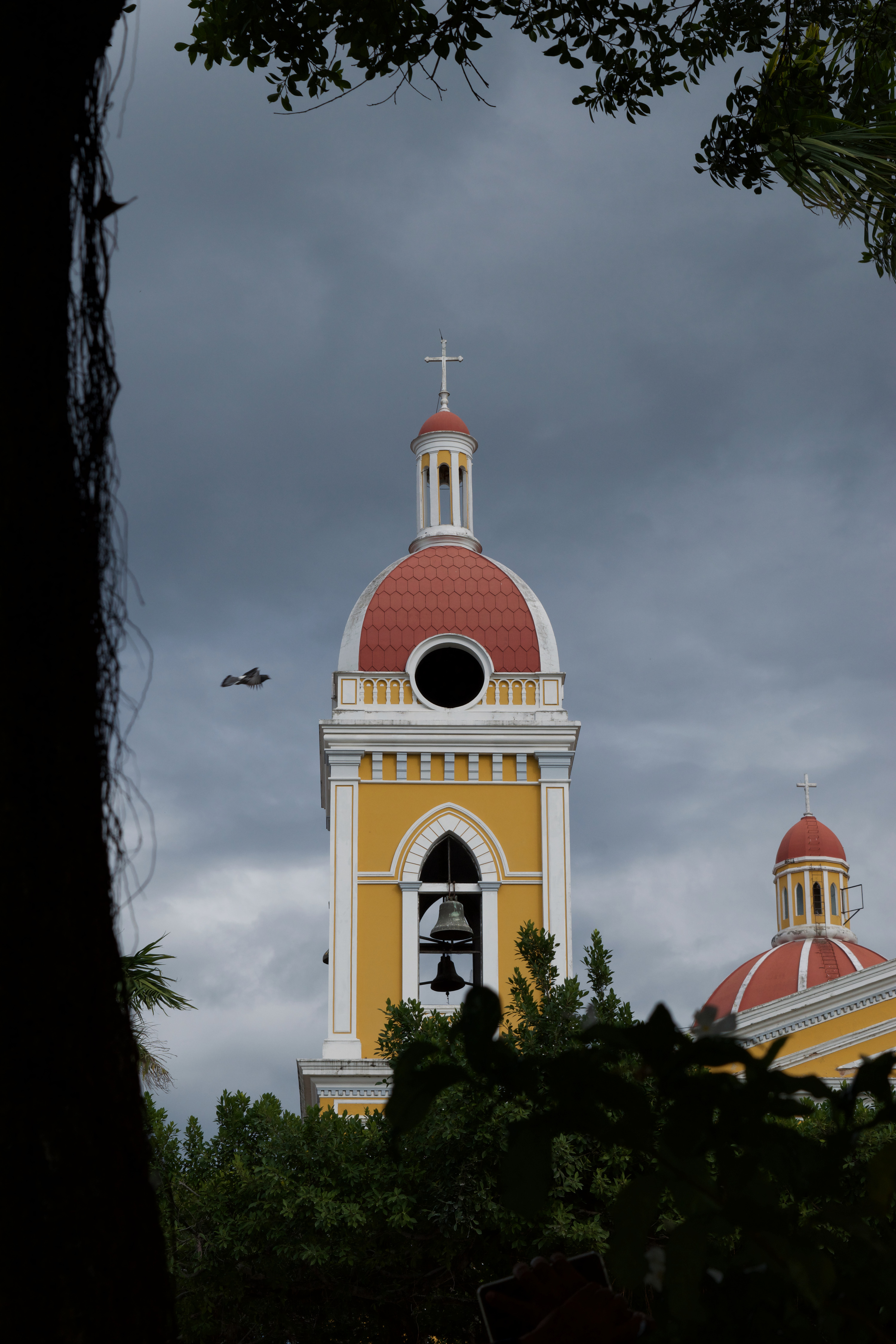 An image of the cathedral with a bird flying by