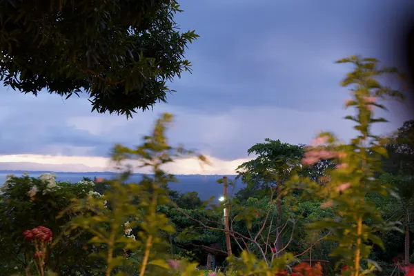 A slow shutter speed image of wint turbines in the distant with blurry trees in the foreground