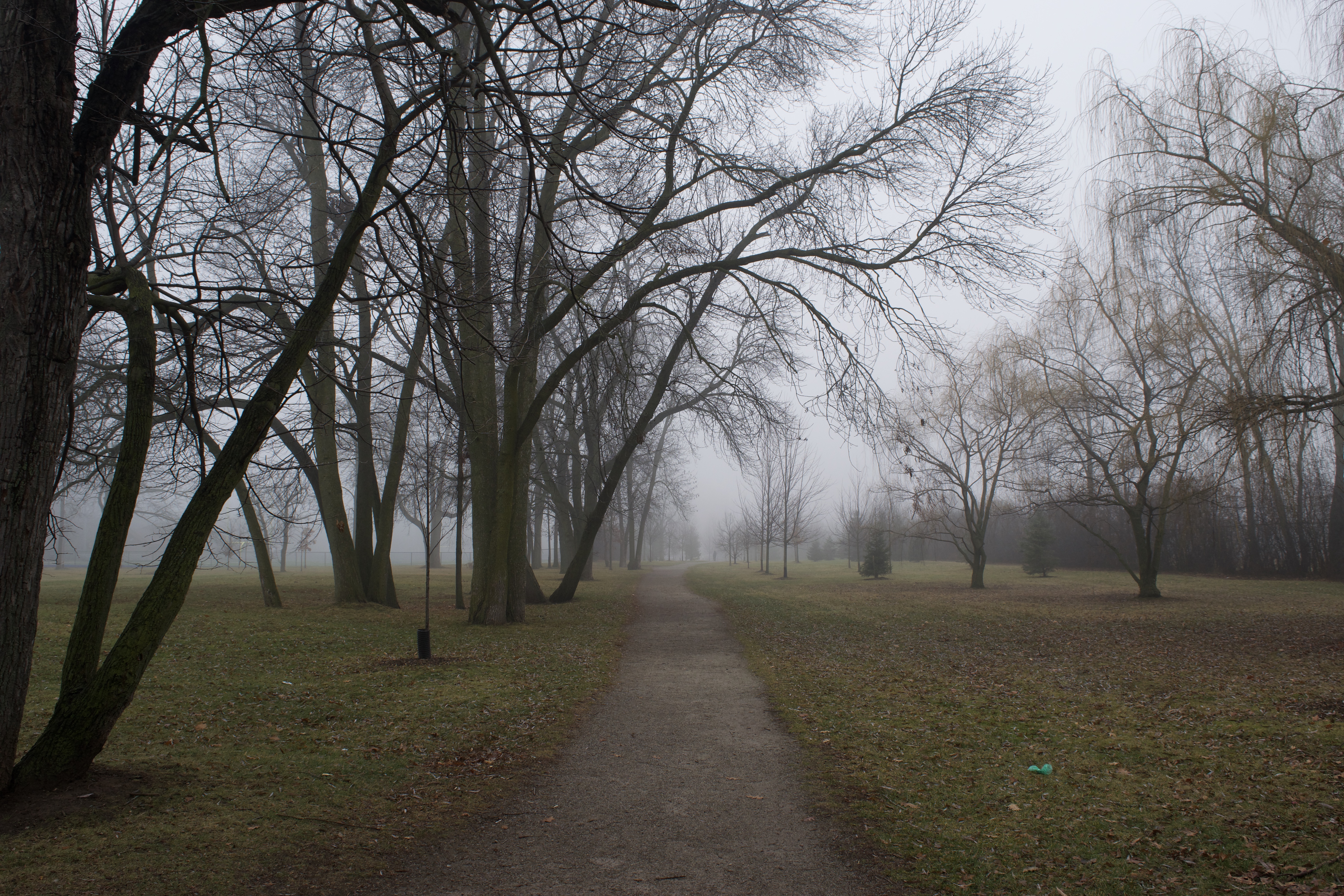 The sunset over a long dirt road in a national park