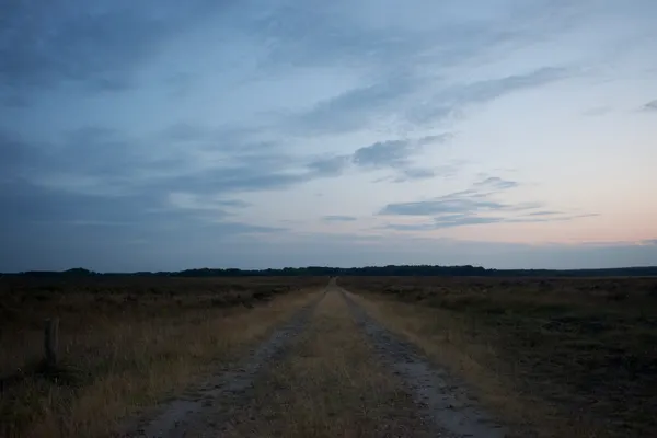 A long road right after the sunset