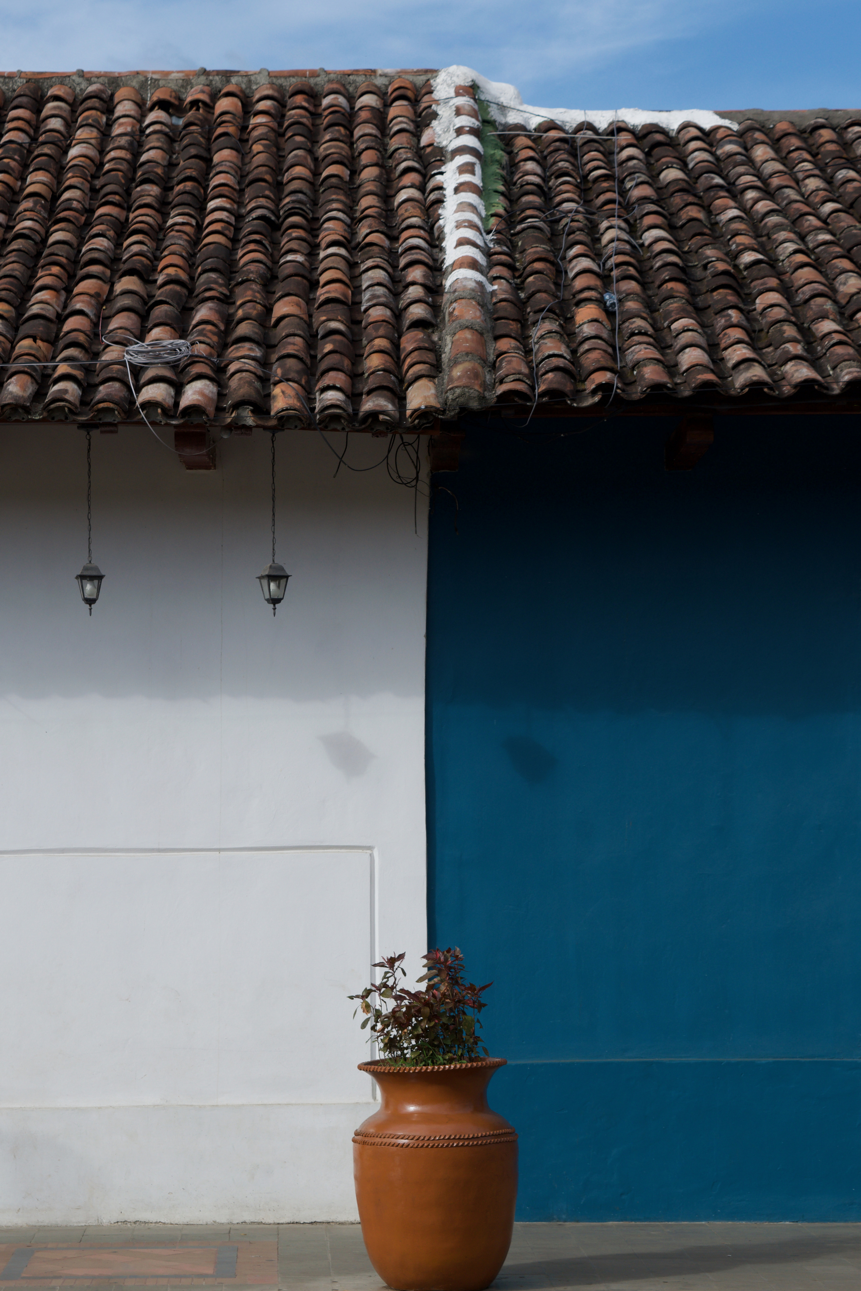 A vase in the middle of two differently coloured buildings