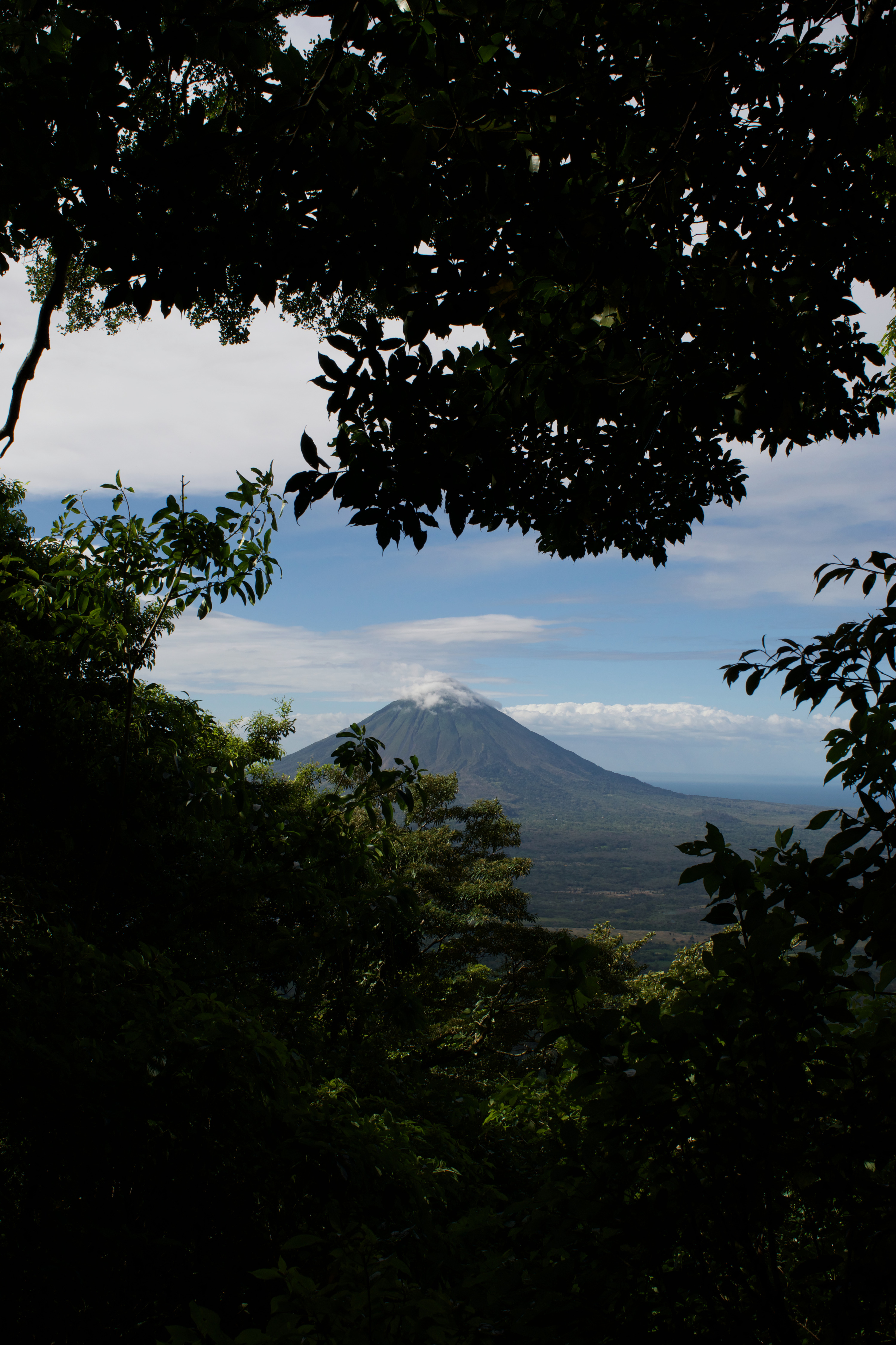 A volcanoe seen through trees