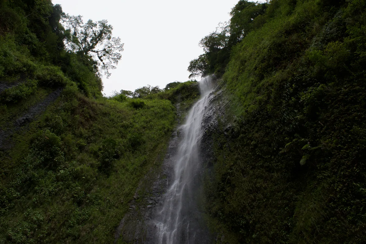 A waterfall suddounded by greenery