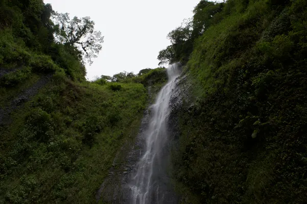 A waterfall suddounded by greenery
