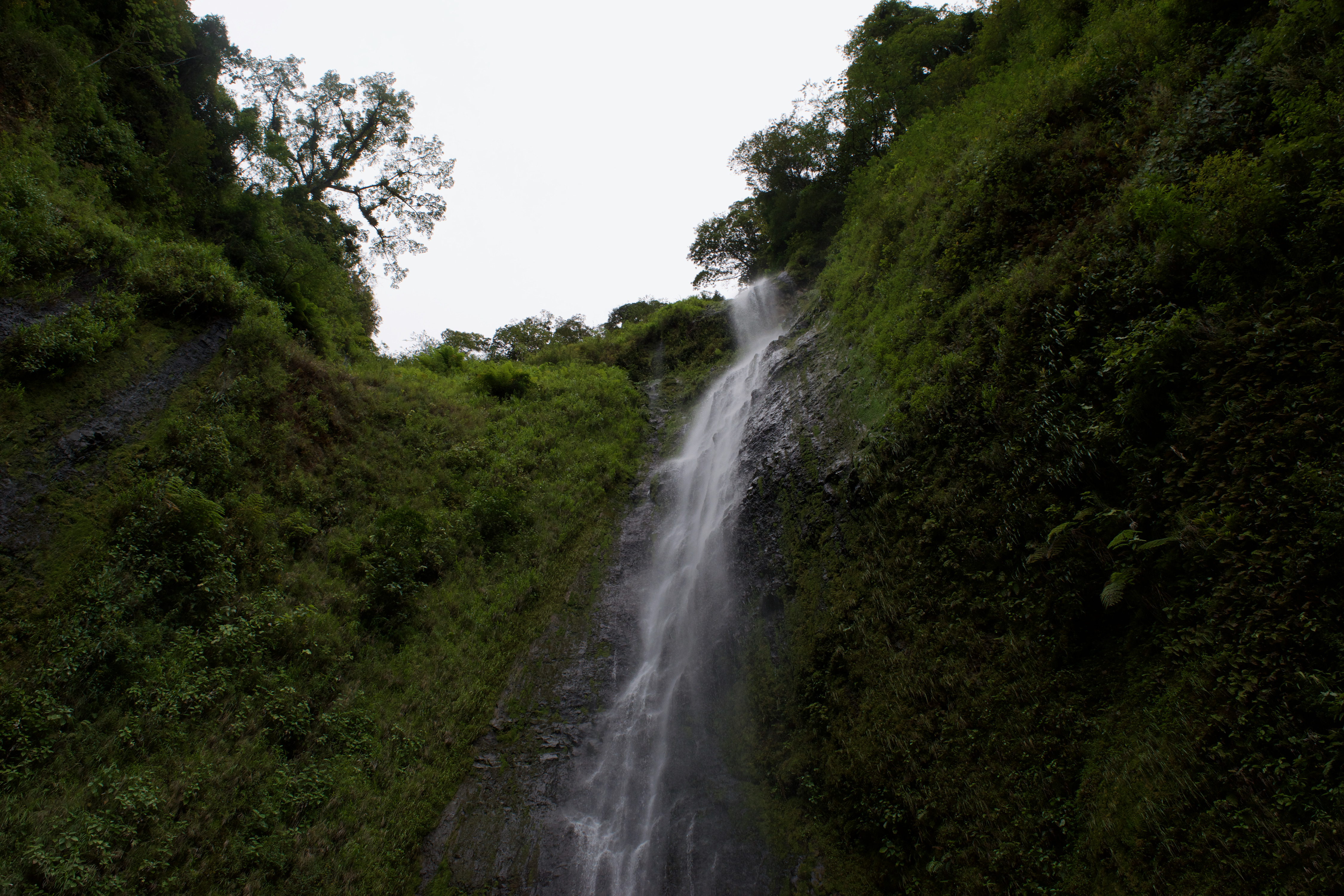 A waterfall suddounded by greenery