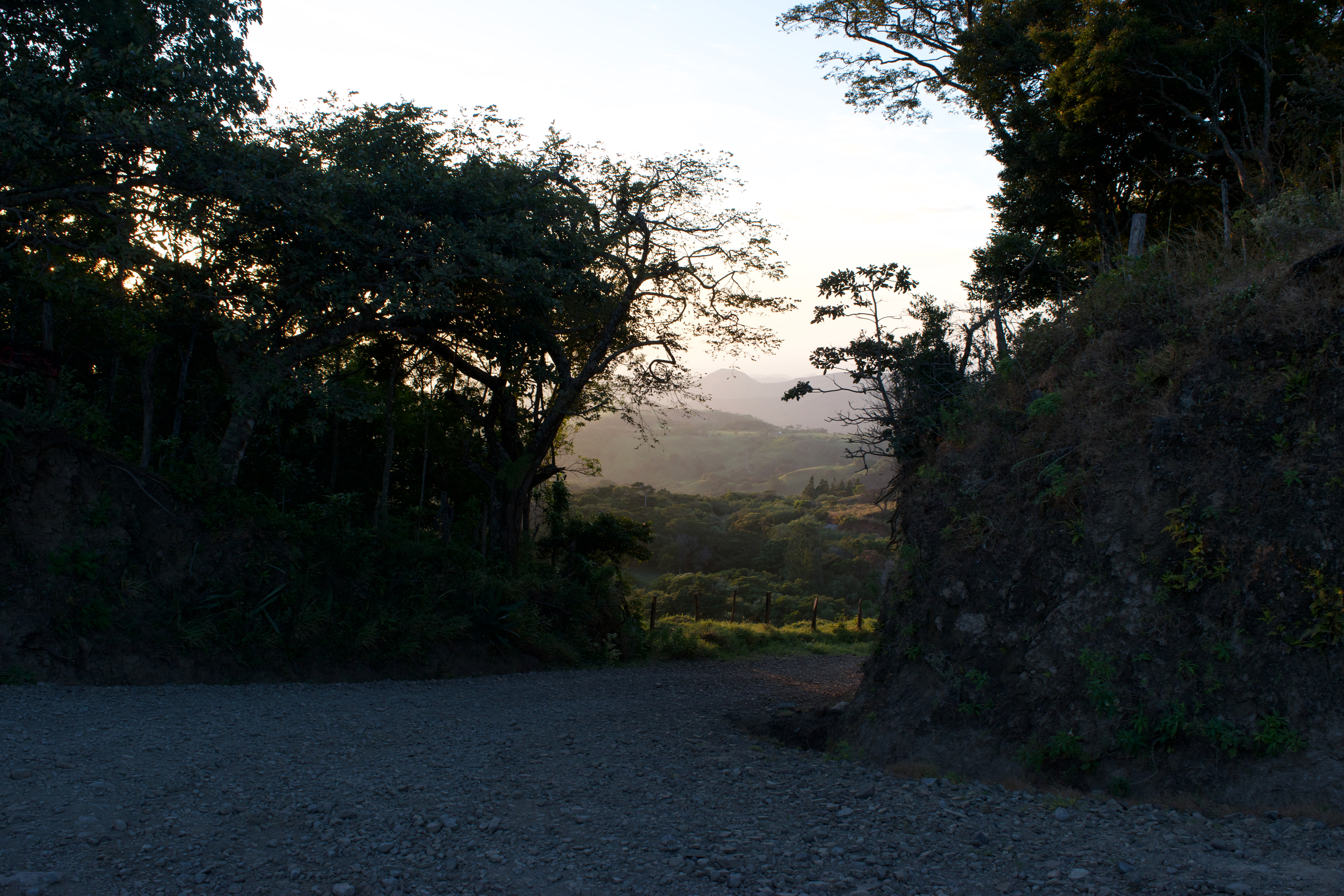 A windy road with a sunset in the background