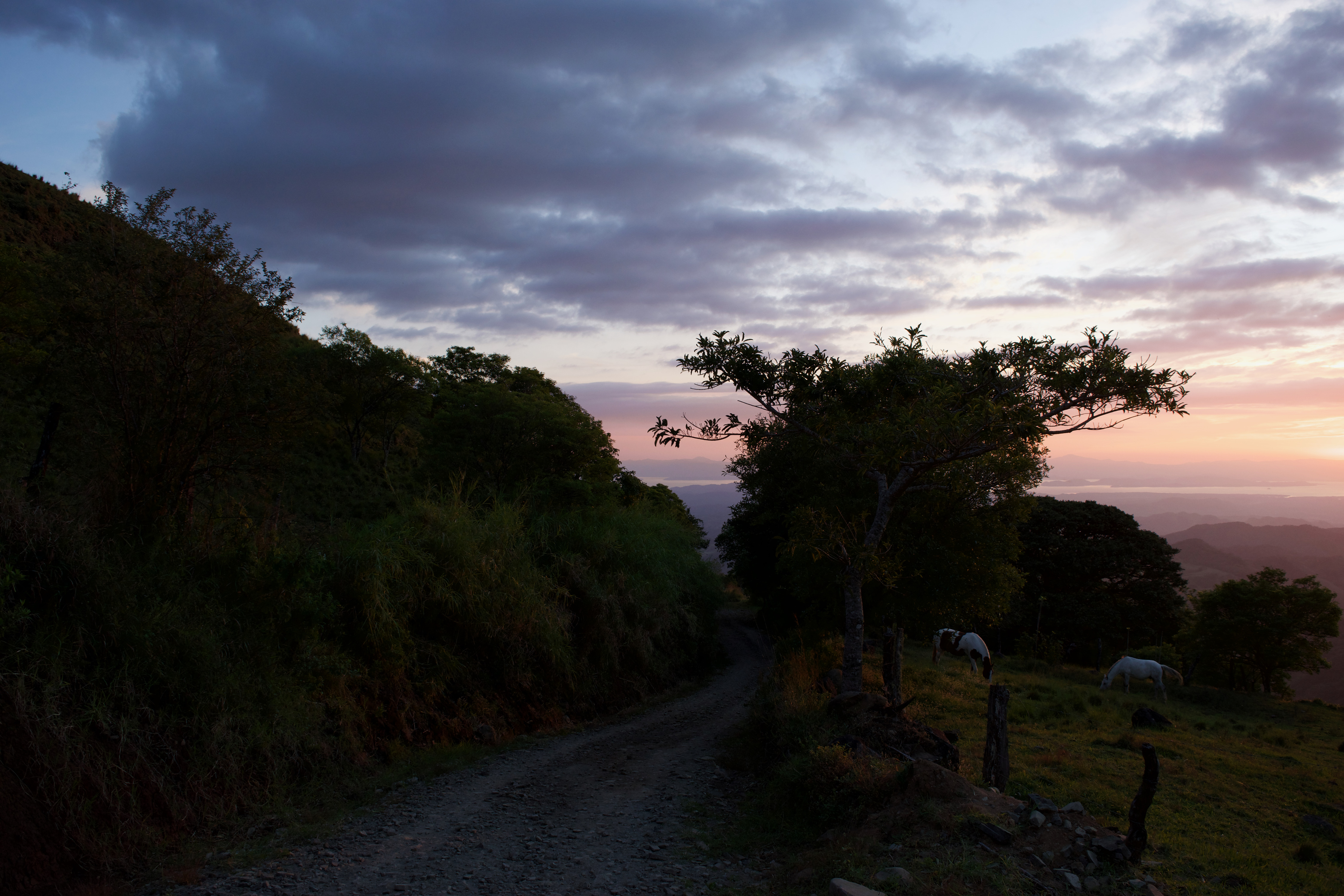 A windy road with a sunset in the background